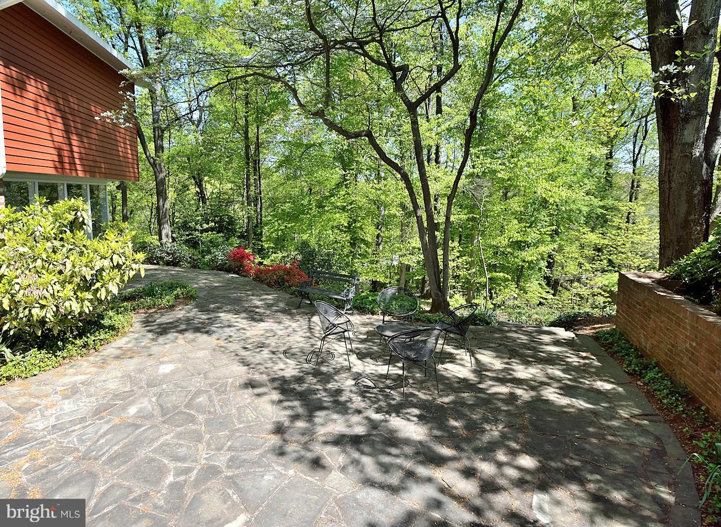 1925 Marthas Road Alexandria, VA 22307 - Photo 26 of 29 a view of a backyard with plants and large trees