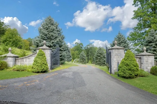 a view of a garden with plants