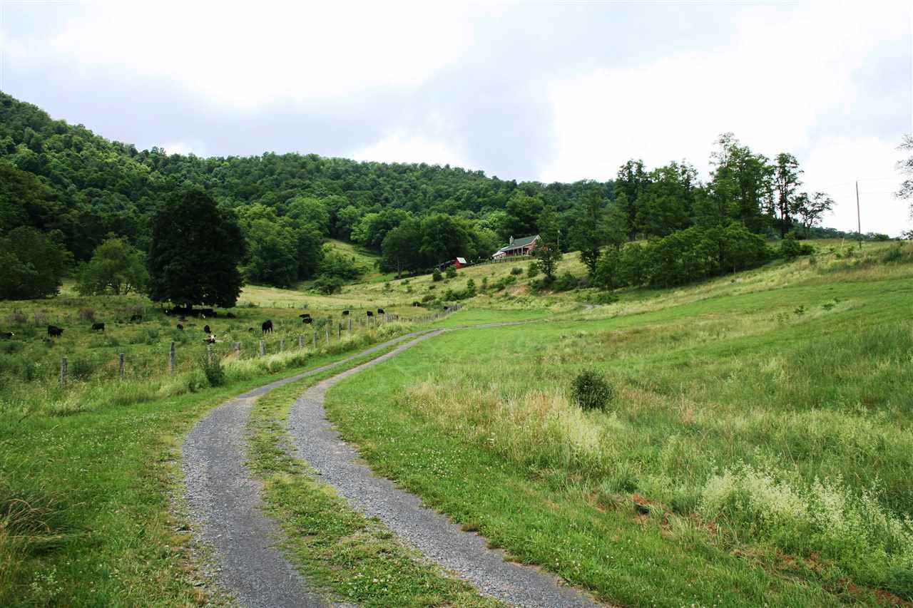 6590 Mill Gap Road Monterey, VA 24465 - Photo 11 of 38 Gallery Image 11