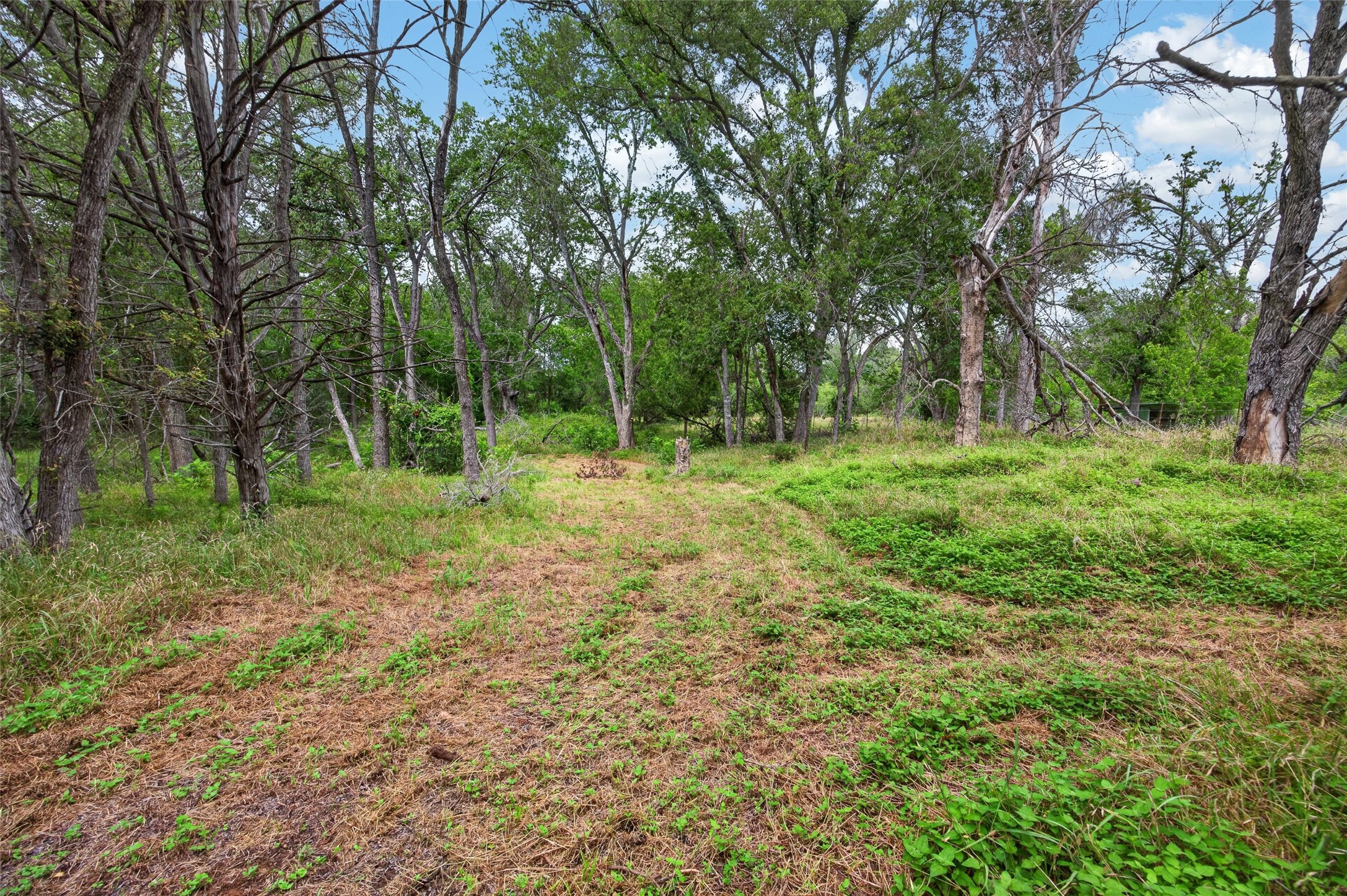 266 Beaver Road Elgin, TX 78621 - Photo 27 of 40 A tranquil natural setting awaits, offering an abundance of mature trees and verdant ground cover.