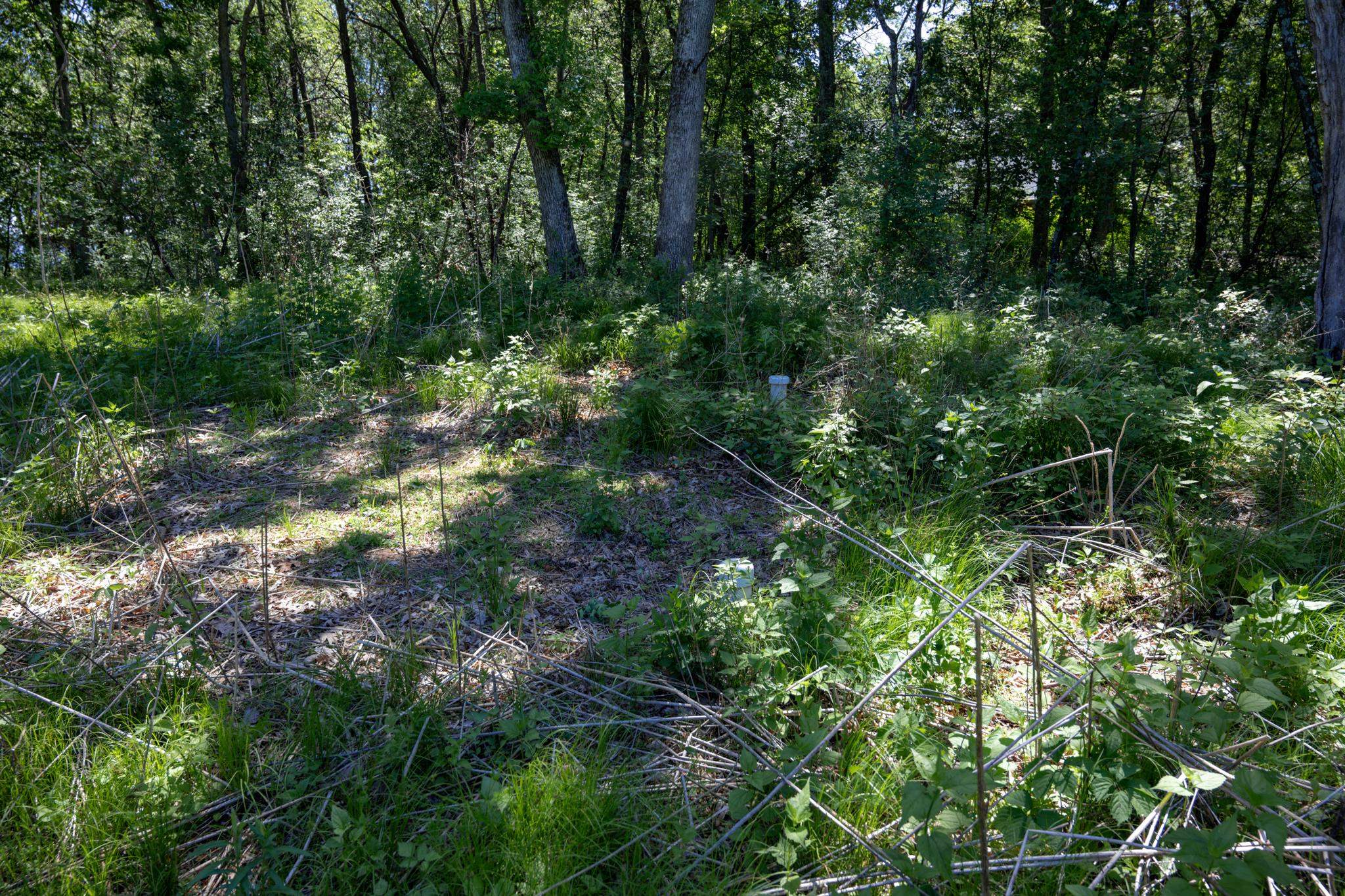 N14672 Porter Road Nekoosa, WI 54457 - Photo 29 of 51