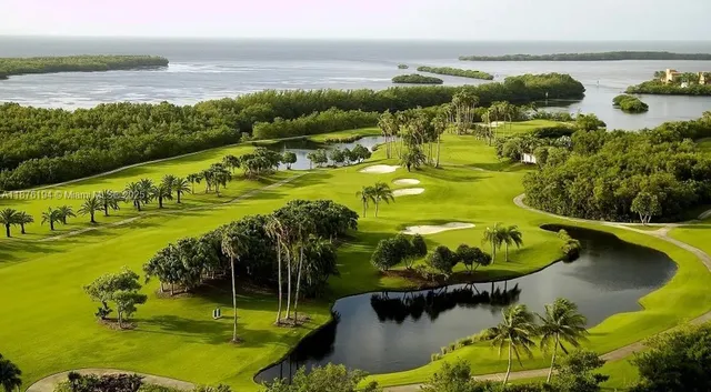 a view of a swimming pool with a lawn chairs and plants