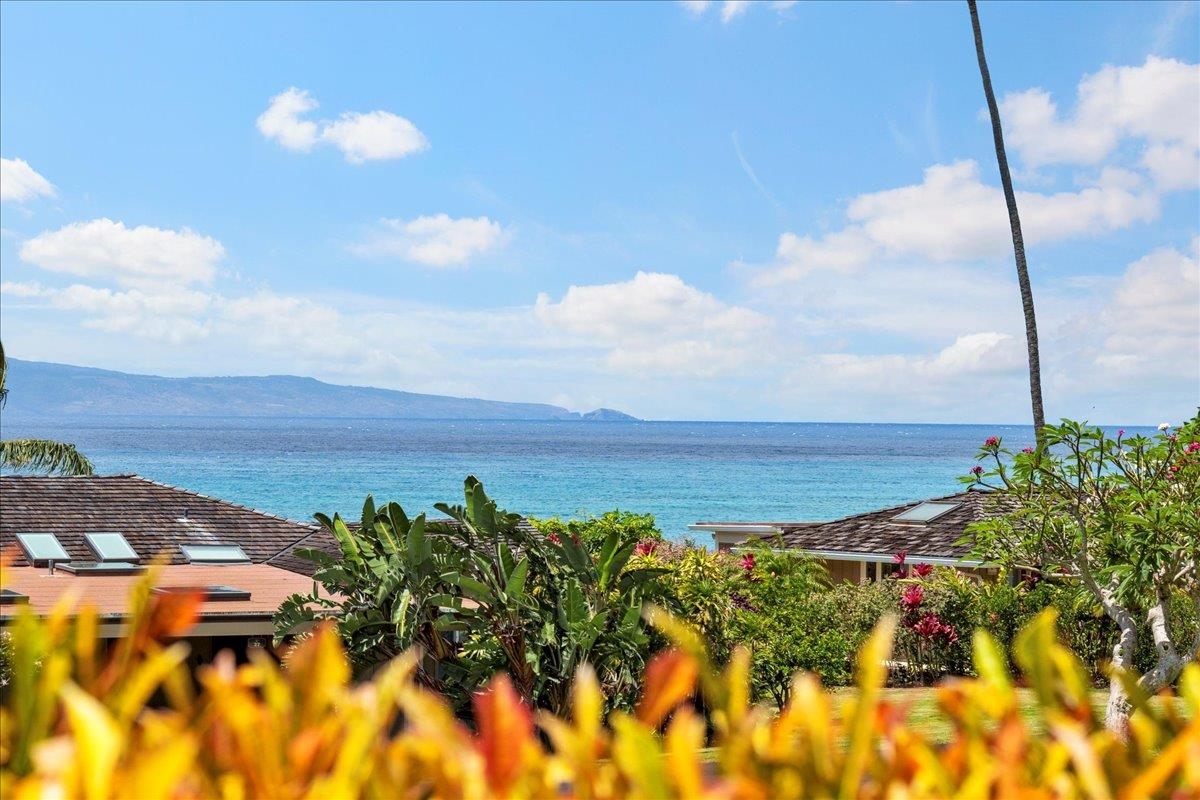 20 Hui Road East, Unit 42 Lahaina, HI 96761 - Photo 26 of 48