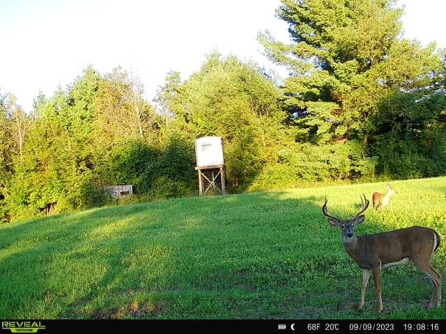 0 North Miller Road East Tawas, MI 48730 - Photo 1 of 23
