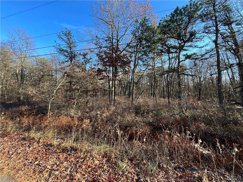 0 Robertson Road Jim Thorpe, PA 18229 - Photo 3 of 8 Gallery Image 3