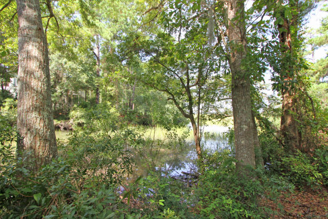19 Isle Of Hope Road Mount Pleasant, SC 29464 - Photo 39 of 46 19 Isle of Hope (30)0030