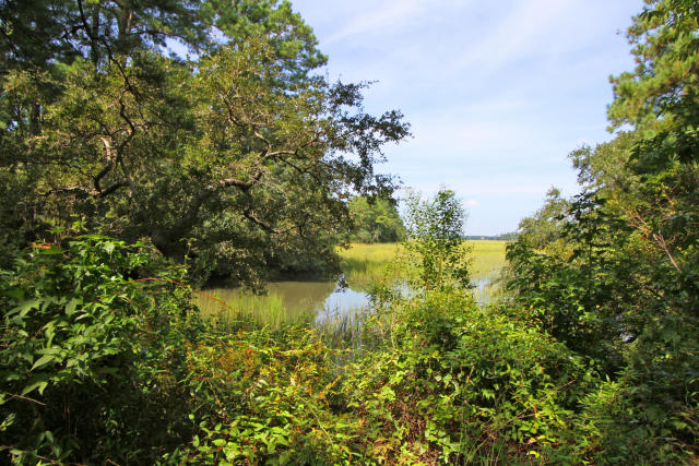 19 Isle Of Hope Road Mount Pleasant, SC 29464 - Photo 41 of 46 19 Isle of Hope (31)0031