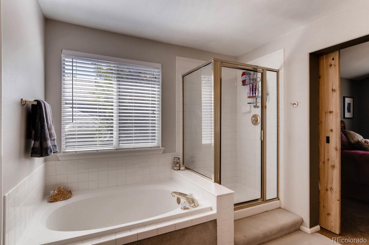 9921 Silver Maple Road Highlands Ranch, CO 80129 - Photo 19 of 35 Gallery Image 19
