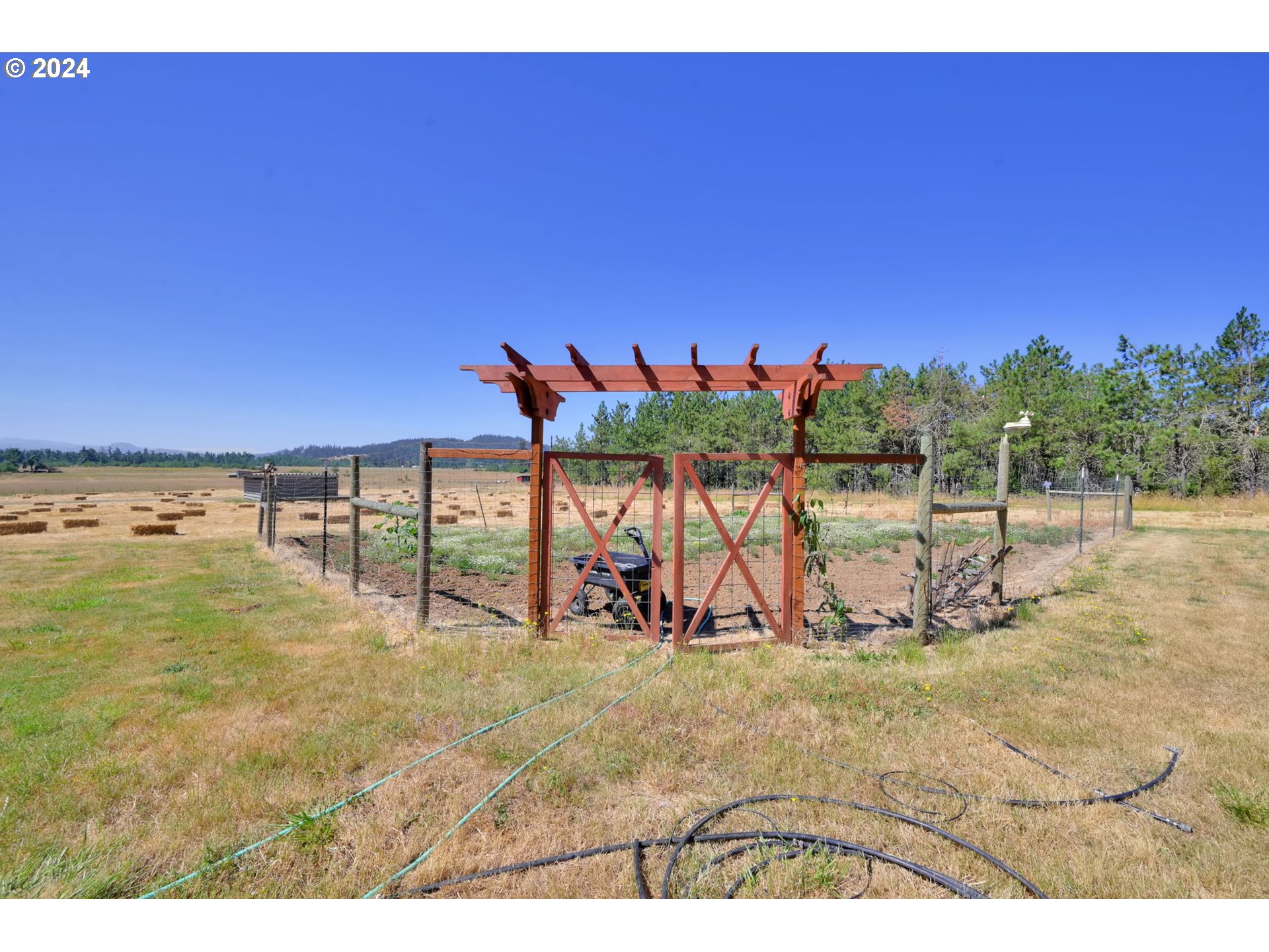 33320 Bryant Road Creswell, OR 97426 - Photo 22 of 48 Garden