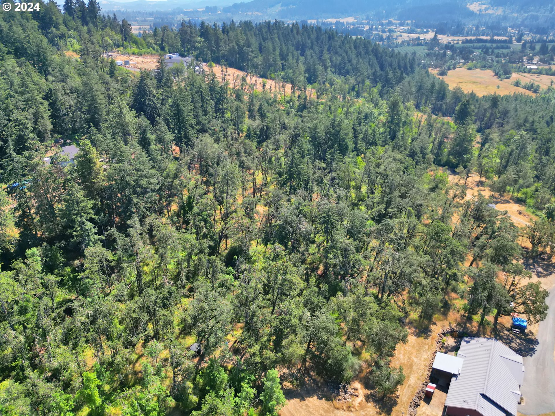 33320 Bryant Road Creswell, OR 97426 - Photo 48 of 48