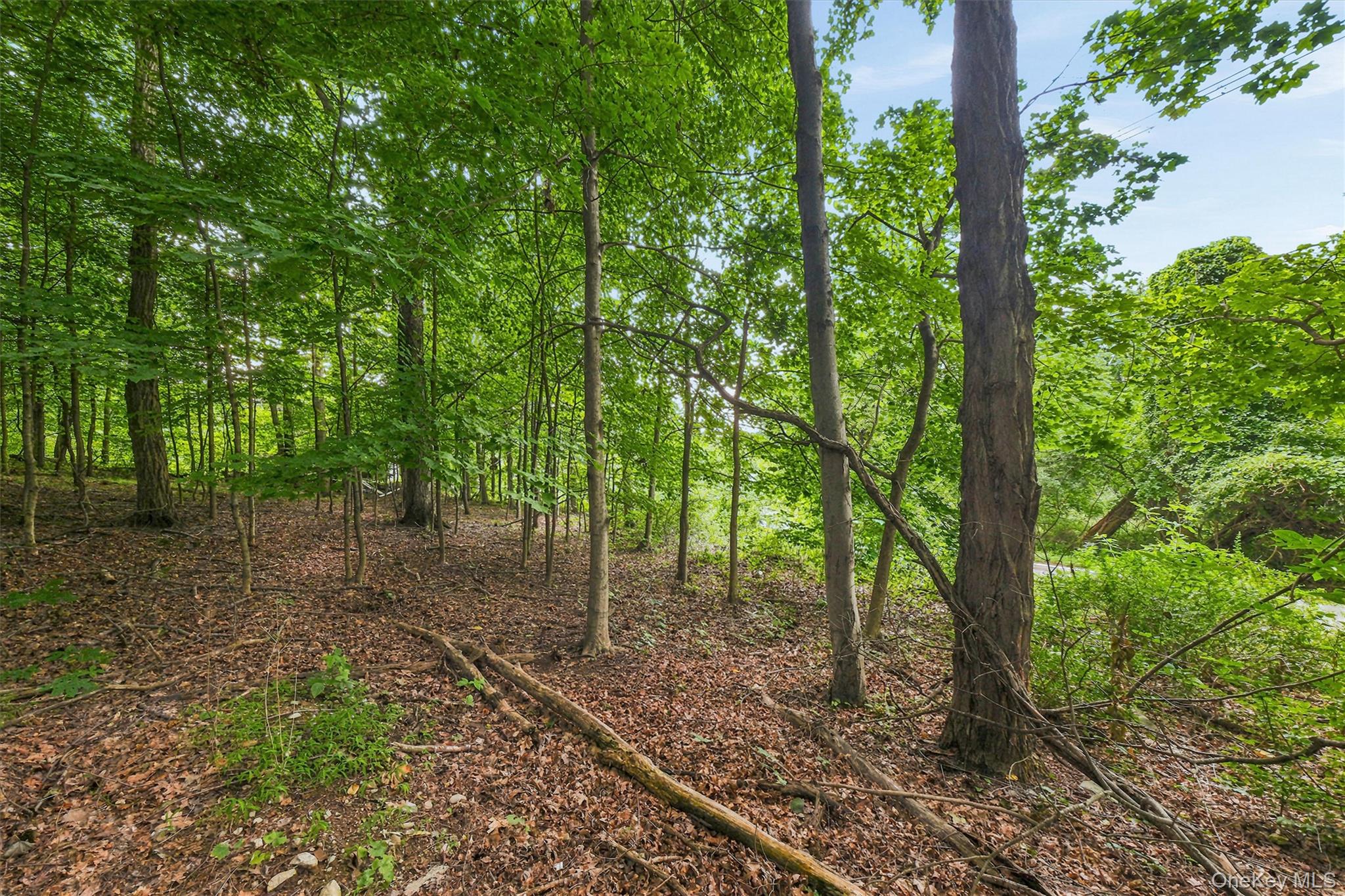Brewer Road Newburgh, NY 12550 - Photo 4 of 17 Gallery Image 4