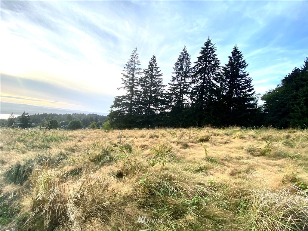 133 Jade Road Woodland, WA 98674 - Photo 1 of 4 Gallery Image 1