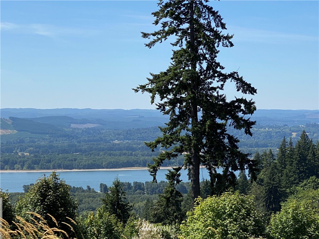 133 Jade Road Woodland, WA 98674 - Photo 3 of 4 Gallery Image 3