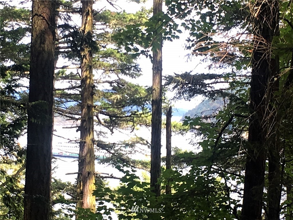 1954 Thatcher Pass Road Decatur Island, WA 98221 - Photo 2 of 9