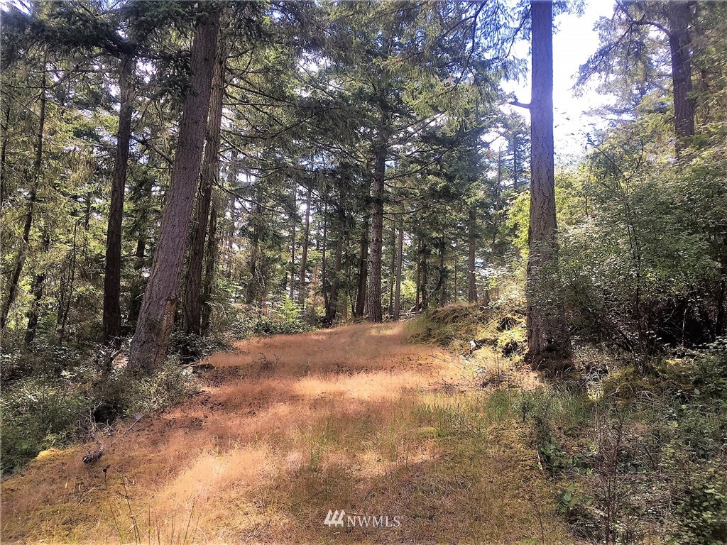 1954 Thatcher Pass Road Decatur Island, WA 98221 - Photo 4 of 9