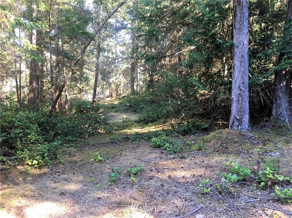 1954 Thatcher Pass Road Decatur Island, WA 98221 - Photo 5 of 9