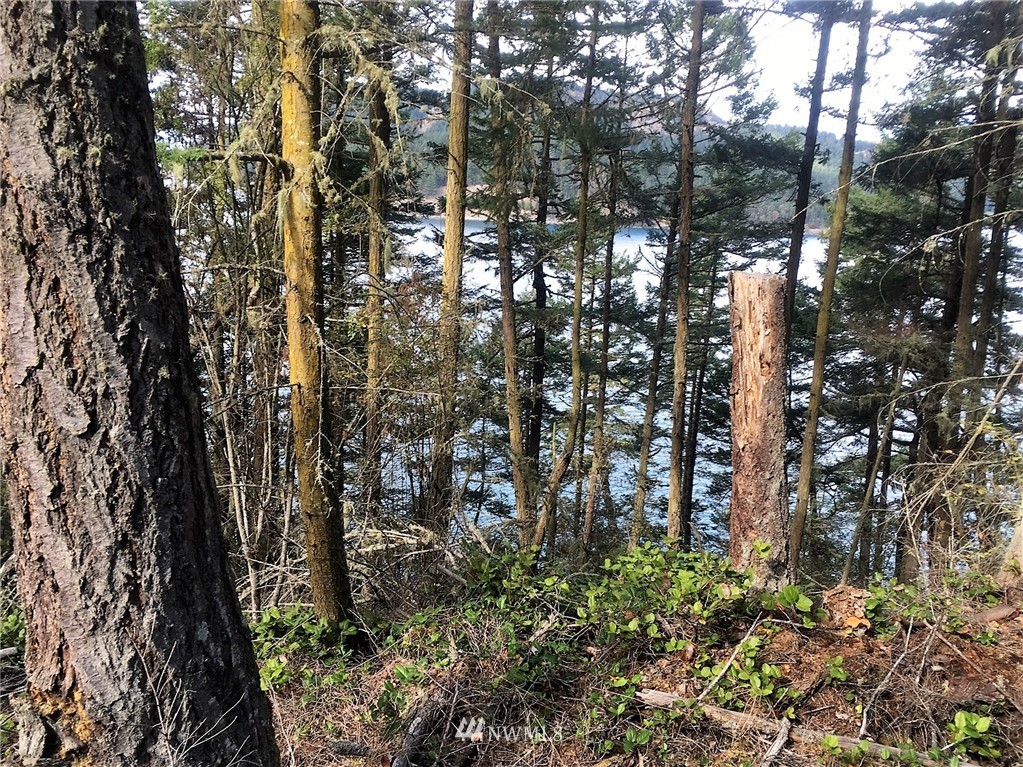 1954 Thatcher Pass Road Decatur Island, WA 98221 - Photo 6 of 9
