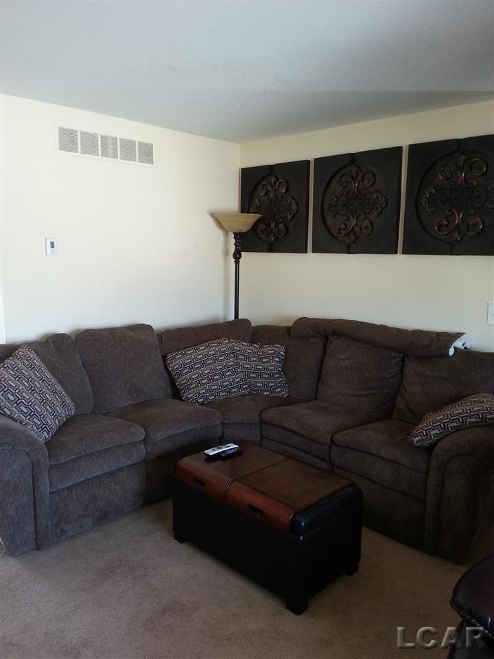221 Joy Road Adrian, MI 49221 - Photo 3 of 14 31229680-2.JPG