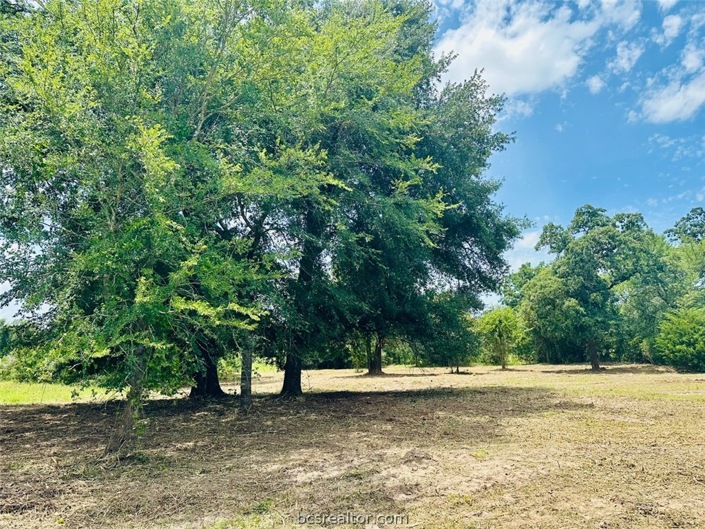 9805 Durham Road Iola, TX 77861 - Photo 12 of 19