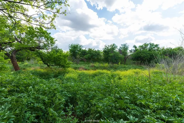 $232,000 | Lot 1 Tbd Cr, Abilene, TX 79601
