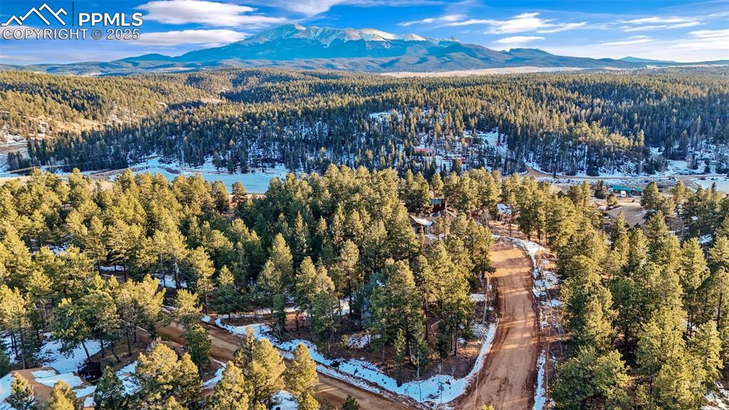 832 Spring Valley Drive Divide, CO 80814 - Photo 46 of 50