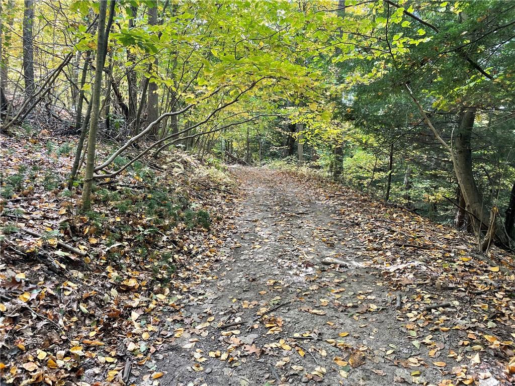 0 Bartow Road Parker, PA 16049 - Photo 11 of 25 a view of a yard with a tree