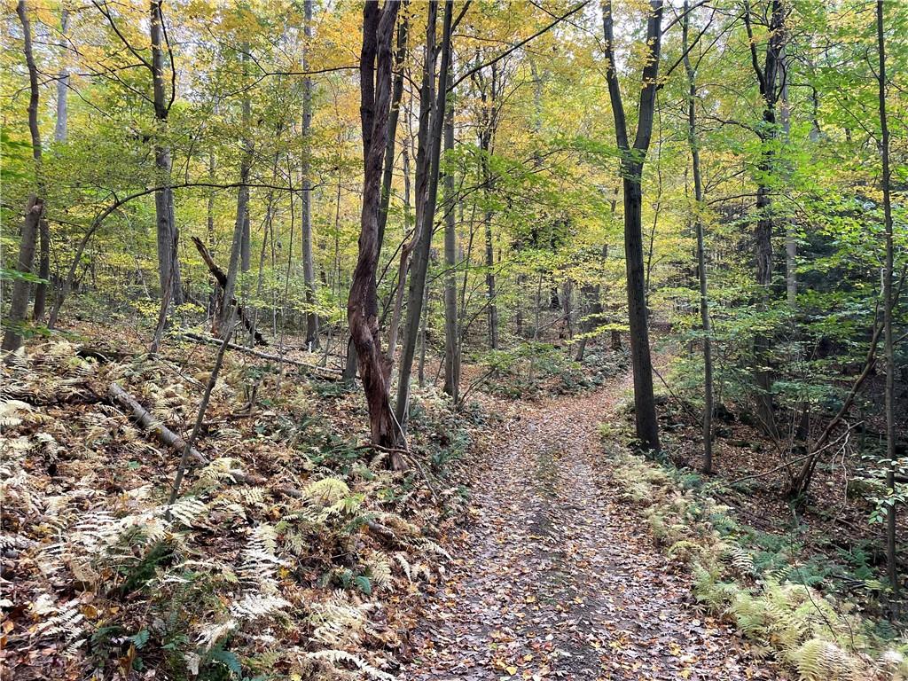 0 Bartow Road Parker, PA 16049 - Photo 12 of 25 a view of outdoor space and green space