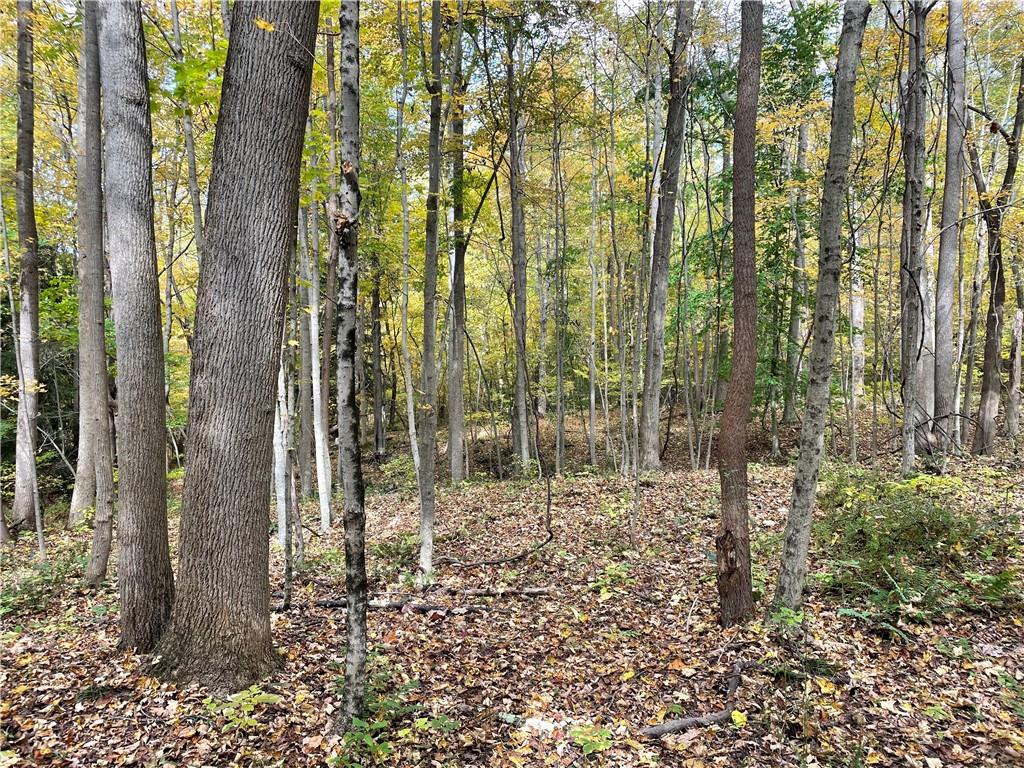 0 Bartow Road Parker, PA 16049 - Photo 13 of 25 a view of a garden