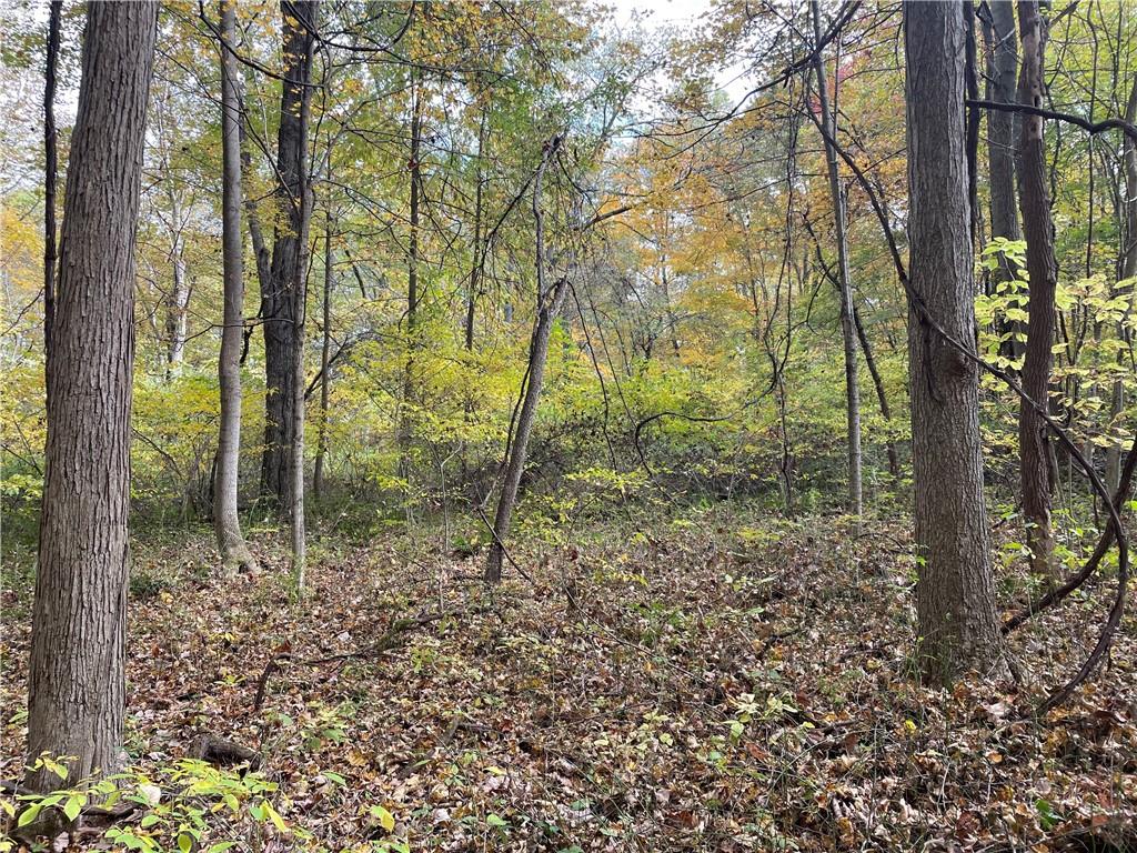0 Bartow Road Parker, PA 16049 - Photo 15 of 25 a view of forest