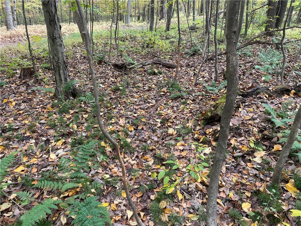 0 Bartow Road Parker, PA 16049 - Photo 17 of 25 a view of a garden