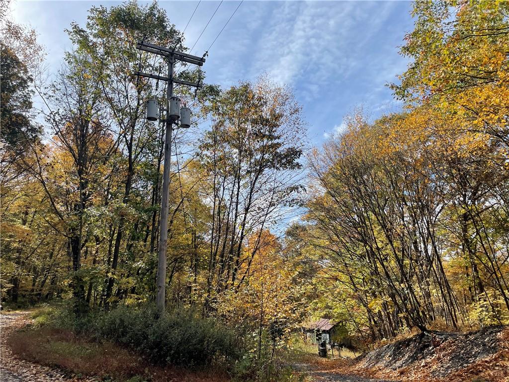 0 Bartow Road Parker, PA 16049 - Photo 20 of 25 a view of a tree in a yard