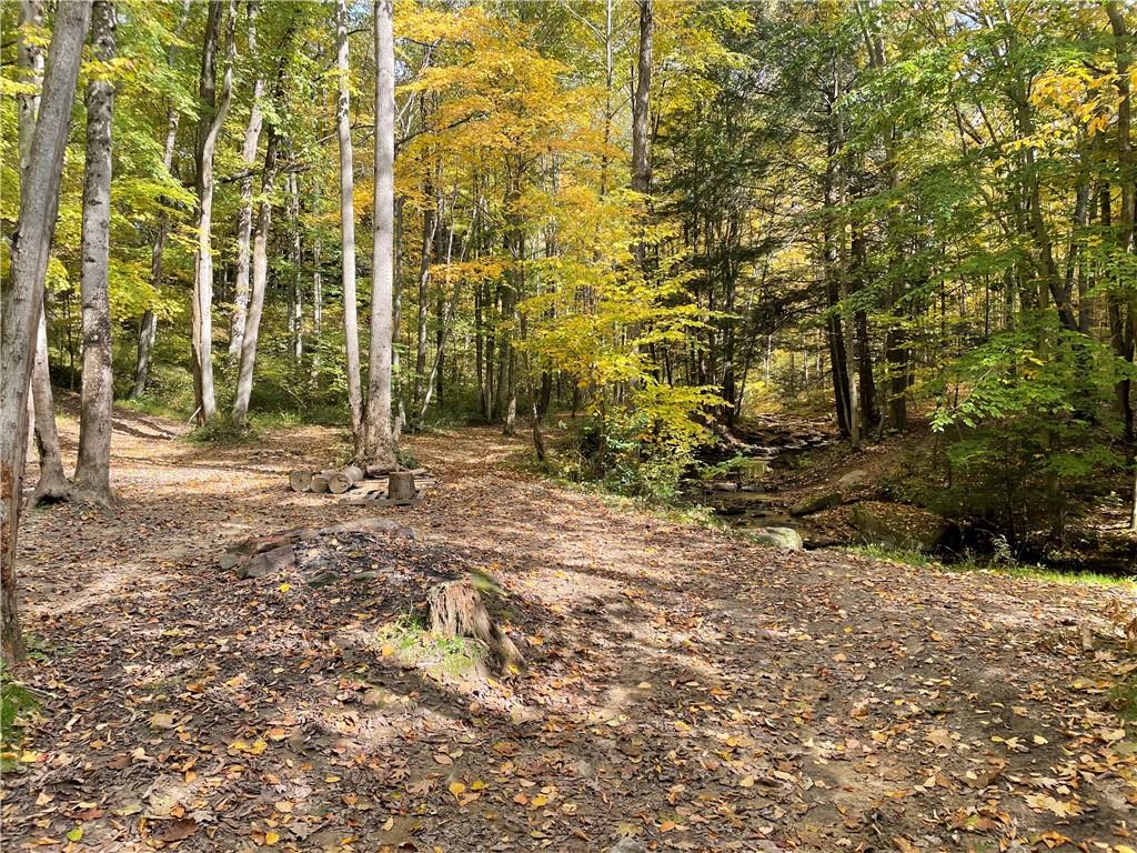 0 Bartow Road Parker, PA 16049 - Photo 9 of 25 a view of backyard with green space