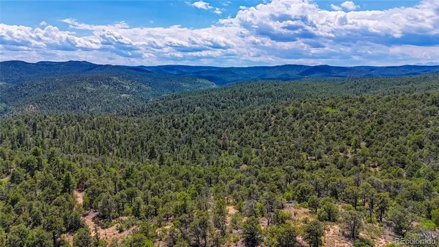 a view of a city with lush green forest