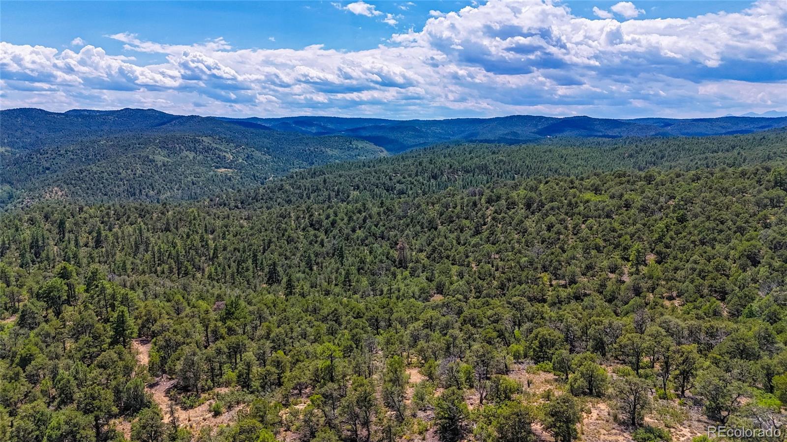 31300 Timber Canyon Road Trinidad, CO 81082 - Photo 5 of 50 a view of a city with lush green forest