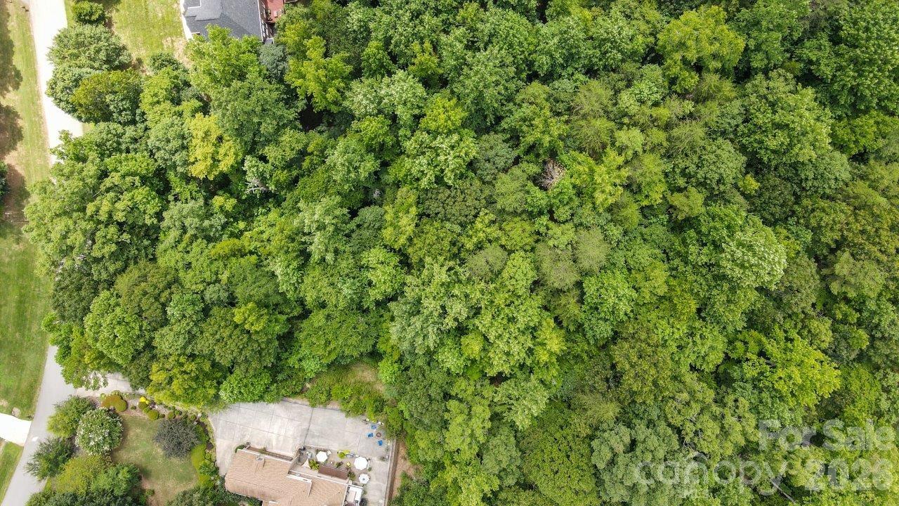 845 Savile Lane Fort Mill, SC 29715 - Photo 5 of 8 a view of a backyard with plants