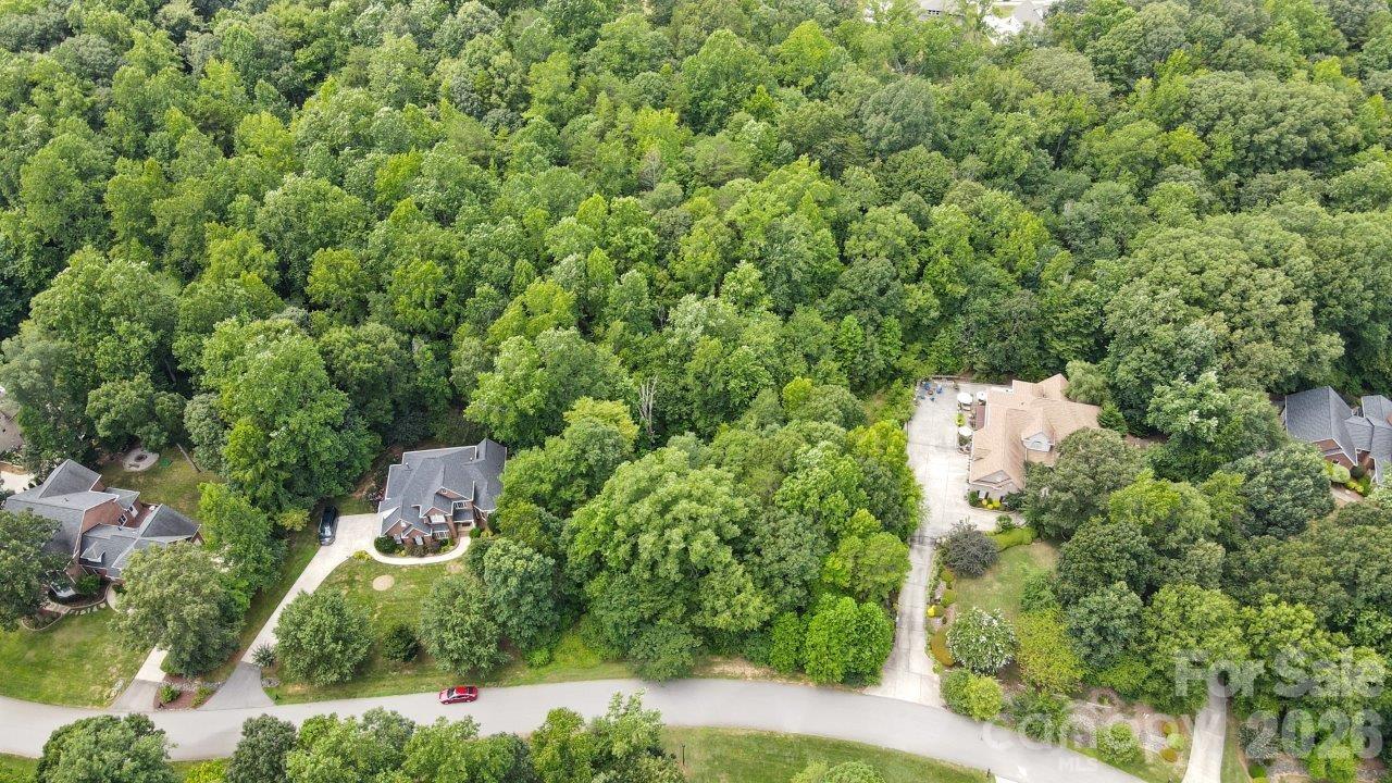 845 Savile Lane Fort Mill, SC 29715 - Photo 6 of 8 an aerial view of a house with yard