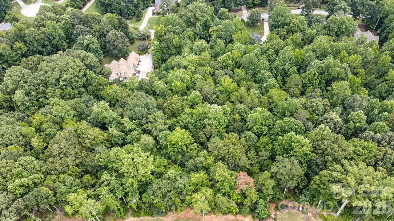 845 Savile Lane Fort Mill, SC 29715 - Photo 7 of 8 a view of a house with a plant