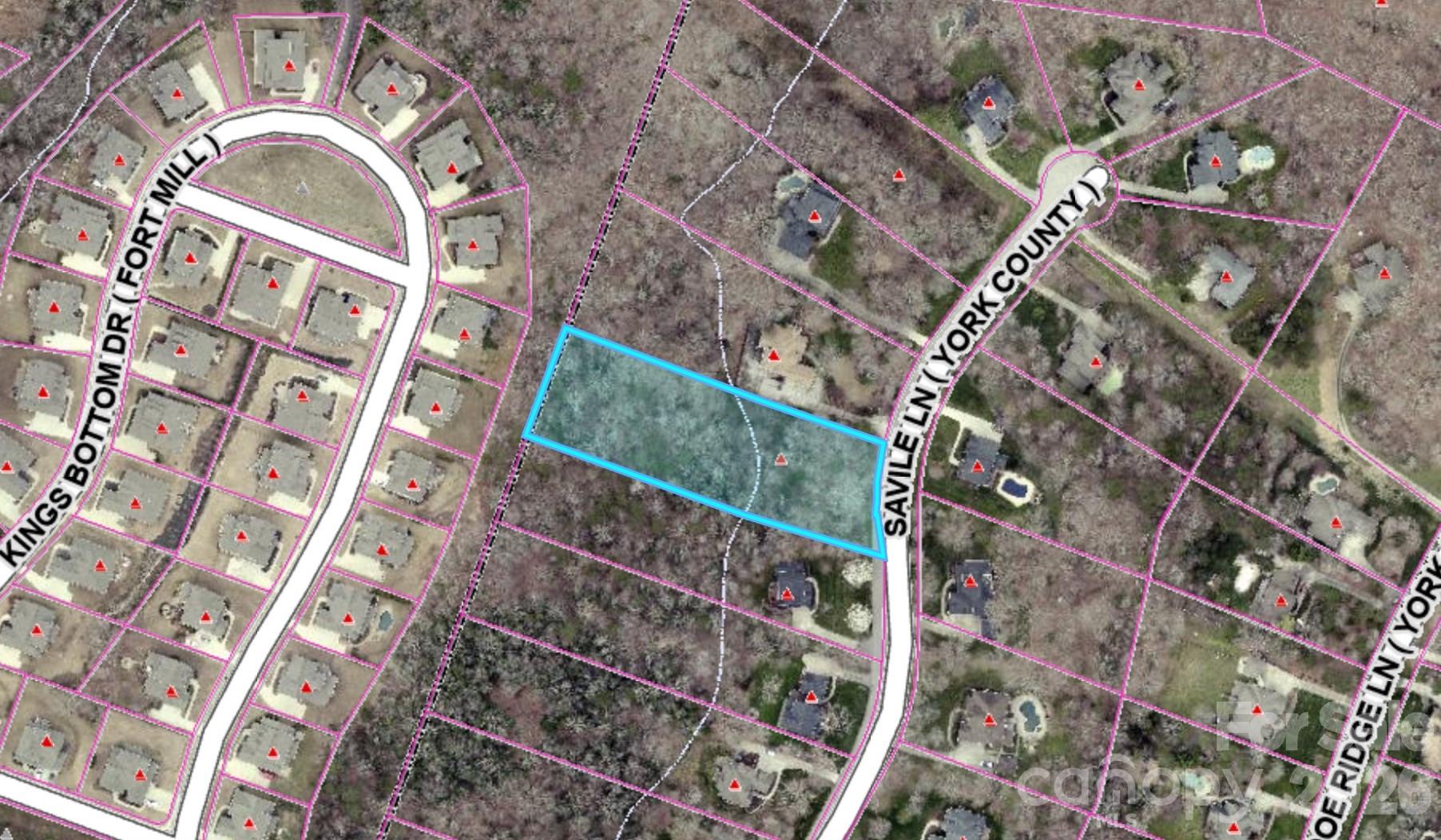 845 Savile Lane Fort Mill, SC 29715 - Photo 8 of 8
