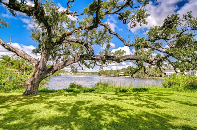 $749,000 | 3230 North Rome Avenue, Tampa, FL 33607