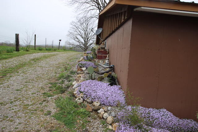155 Eugene Harness Road Science Hill, KY 42553 - Photo 95 of 101 IMG_5671