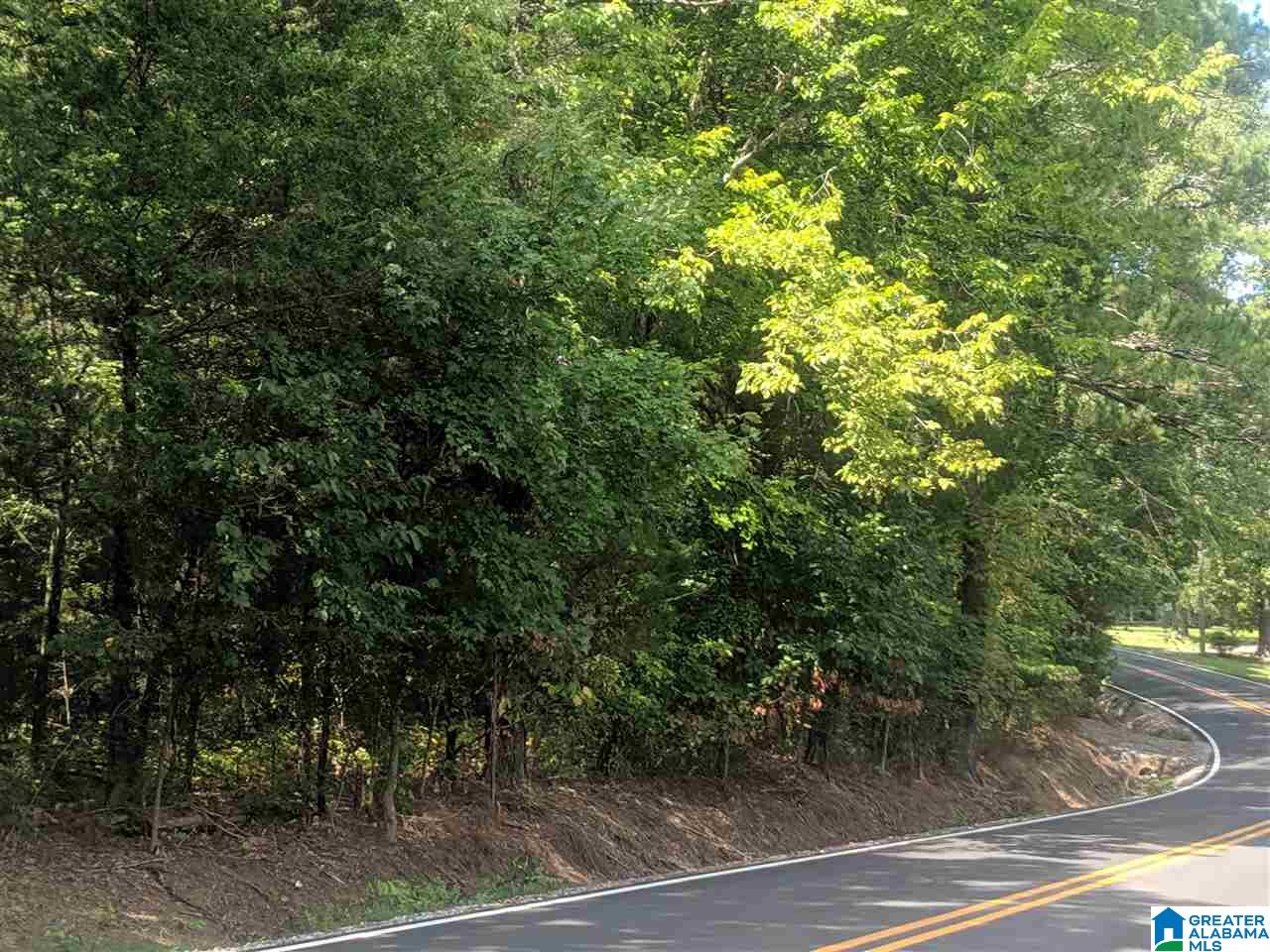 0 Old Broadwell Mill Road Jacksonville, AL 36265 - Photo 10 of 22