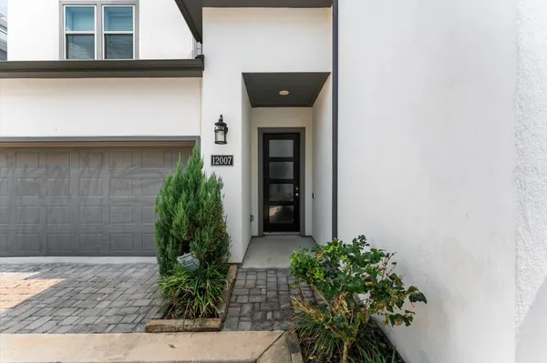 a potted plant in front of a door