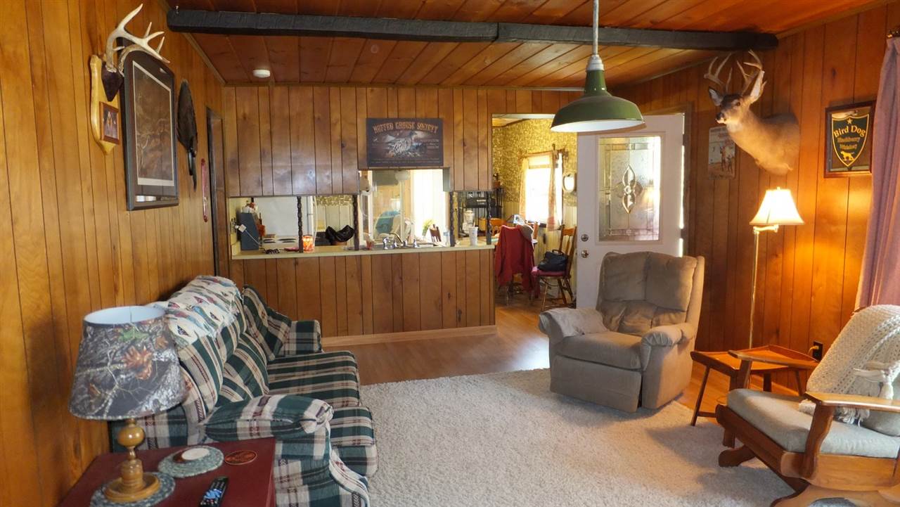 14661 Springdale Road Thompsonville, MI 49683 - Photo 7 of 19 1799254-6.JPG