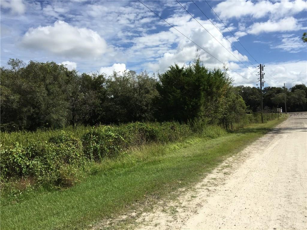 Twin Oaks Road Spring Hill, FL 34610 - Photo 1 of 1 a view of a street with a yard