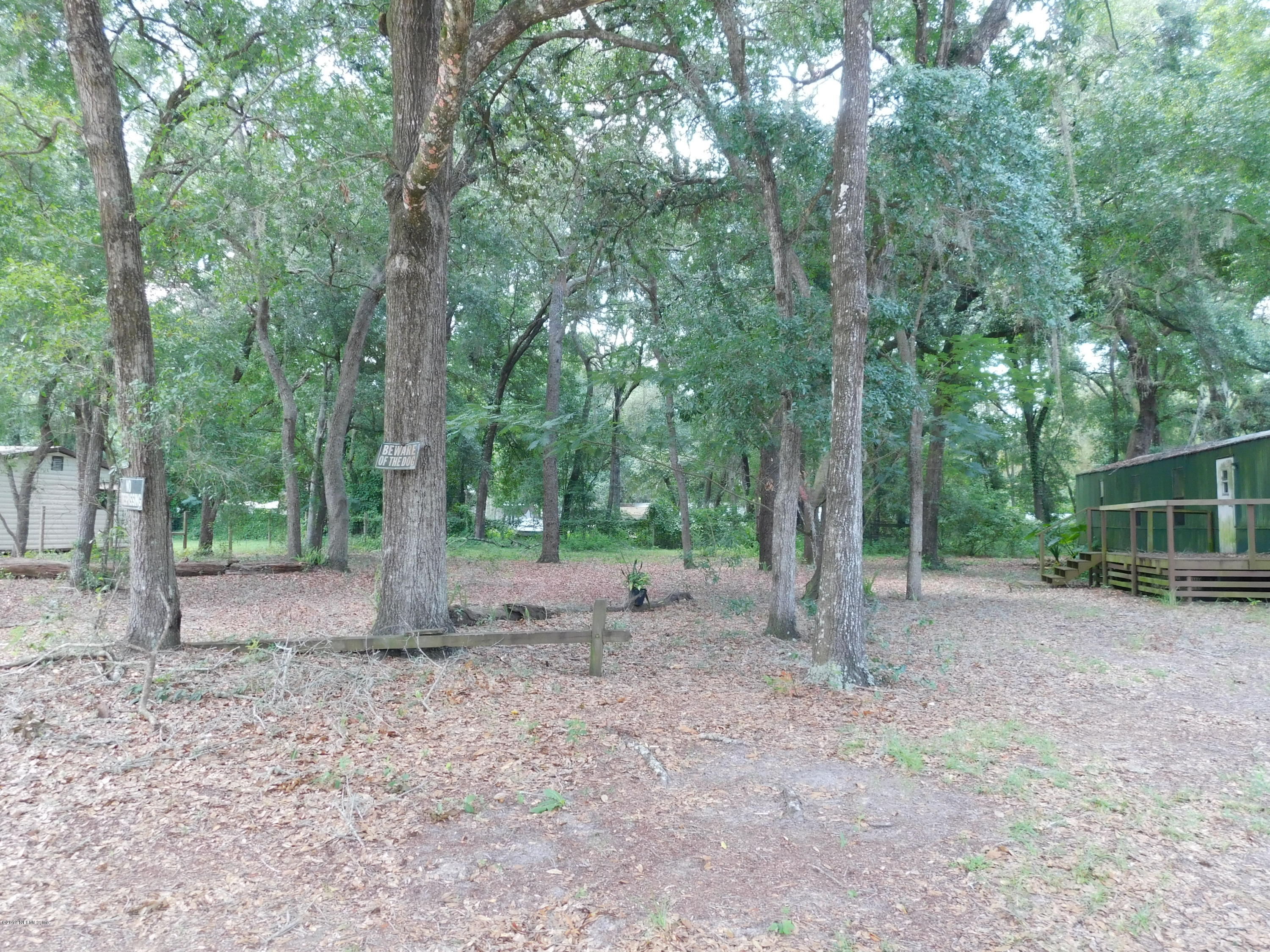 112 Cindy Street Interlachen, FL 32148 - Photo 28 of 33 a view of a forest with trees in the background