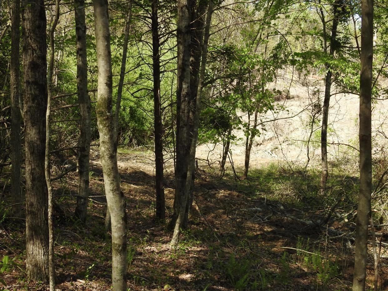 999 Ben Baker Road Somerset, KY 42501 - Photo 15 of 20 93880098_671130626999772_208003380654637