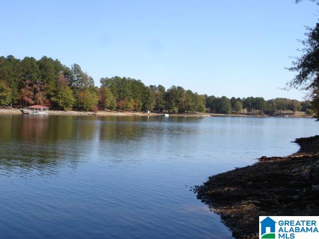 10 Lost Creek Cove Road, Unit 10 Lineville, AL 36266 - Photo 1 of 1