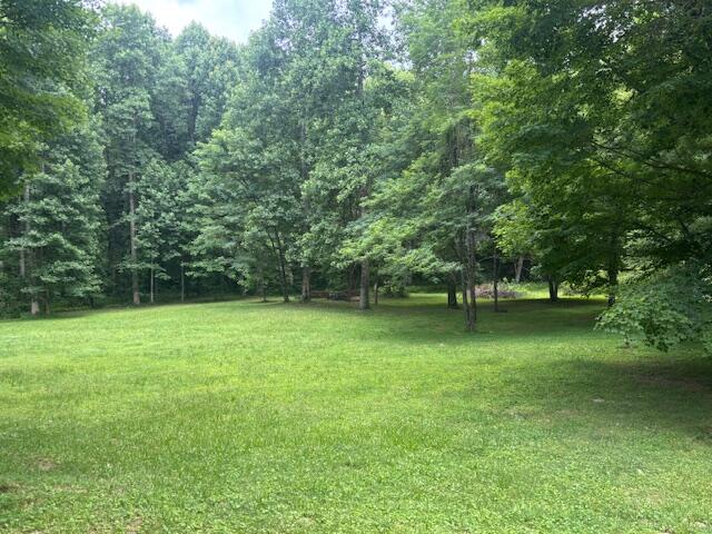 331 Briley Road Spring City, TN 37381 - Photo 11 of 32 IMG_0871