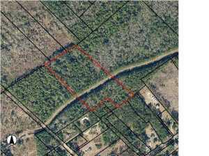 0 Brailsford Road McClellanville, SC 29458 - Photo 1 of 1 9.66 acre pic