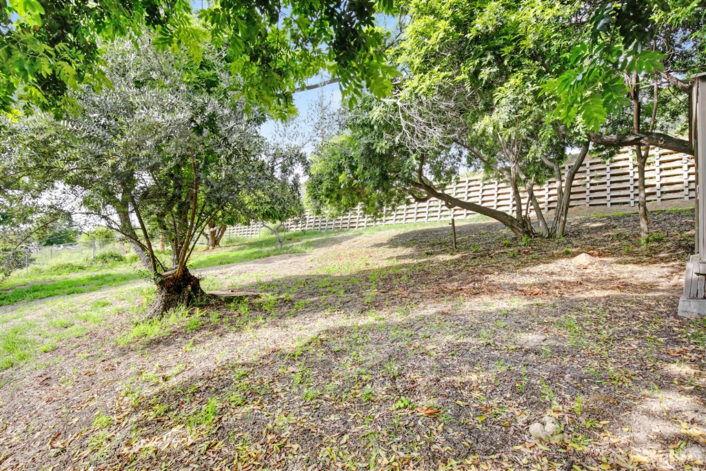 10116 Fondo Road Spring Valley, CA 91977 - Photo 16 of 18